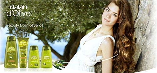 Amazon.com : Hand and Body Cream Olive Oil Moisturizing Normal to